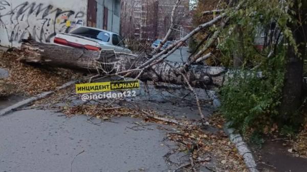 Ураганный ветер перевернул остановки в Барнауле