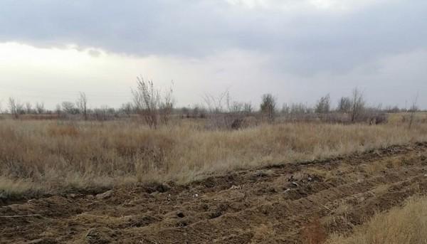 Рубцовск защитили от степного огня