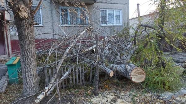 В Барнауле устраняют последствия ночного урагана В Барнауле устраняют последствия ночного урагана