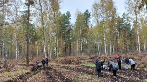 В Солтонском районе поддержали акцию «Сохраним лес» В Солтонском районе поддержали акцию «Сохраним лес»