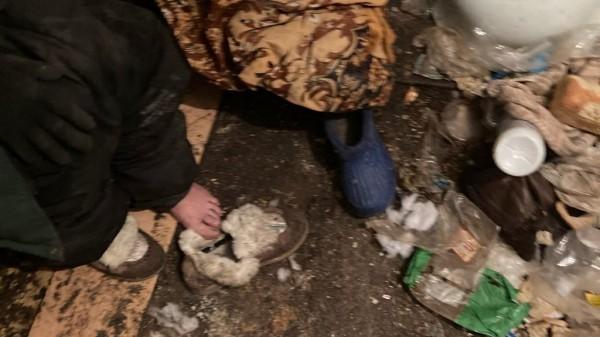 Барнаульская бабушка живет в захламленном доме с тараканами Барнаульская бабушка живет в захламленном доме с тараканами