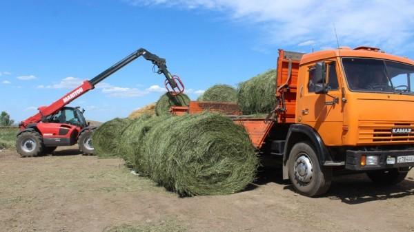 Прибыль хозяйств Рубцовского района достигла миллиарда рублей Прибыль хозяйств Рубцовского района достигла миллиарда рублей