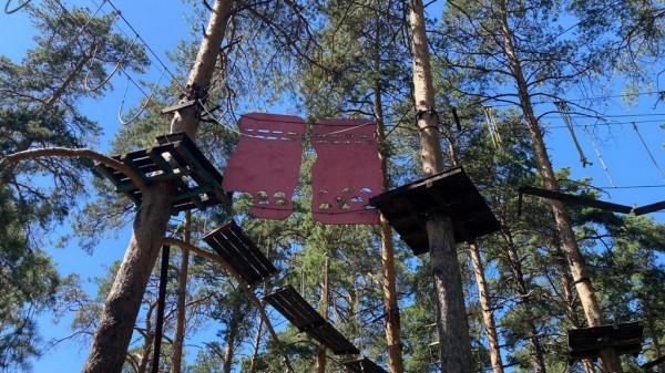 Суд рассмотрит дело о падении ребенка в веревочном парке Барнаула Суд рассмотрит дело о падении ребенка в веревочном парке Барнаула