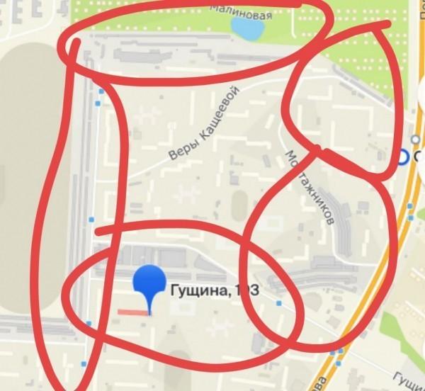 Барнаульцы жалуются на водителей, которые ездят по тротуарам