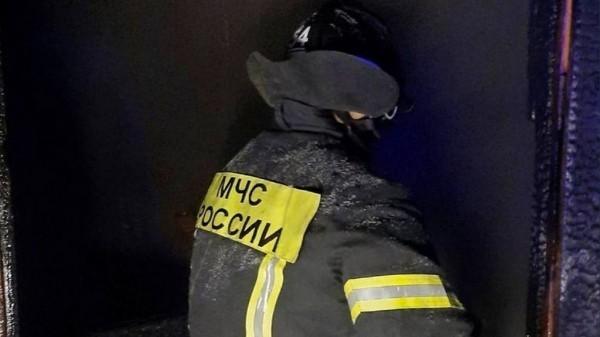 В Камне-на-Оби на пожаре спасли мать с двумя детьми