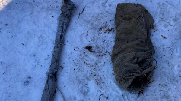 Жителя Петропавловского района задержали по подозрению в отстреле двух лошадей Жителя Петропавловского района задержали по подозрению в отстреле двух лошадей