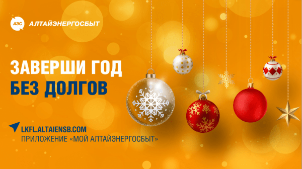 НАЧНИТЕ НОВЫЙ ГОД БЕЗ ДОЛГОВ ЗА ЭЛЕКТРОЭНЕРГИЮ