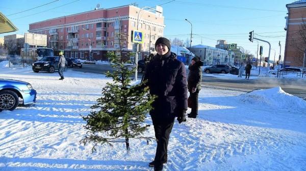 В Барнауле в шестой раз прошла акция по сбору новогодних елок