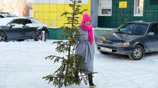 В Барнауле в шестой раз прошла акция по сбору новогодних елок