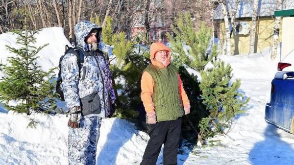 В Барнауле в шестой раз прошла акция по сбору новогодних елок