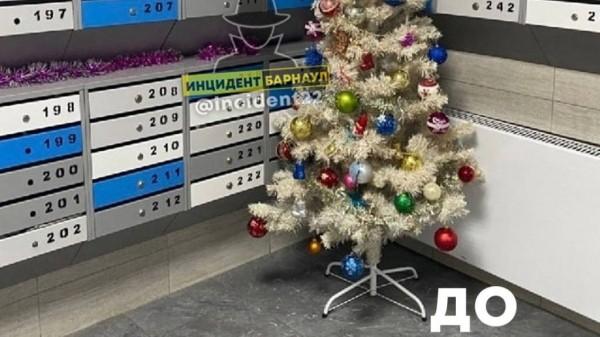 Молодая пара из Барнаула вернула елку назад в подъезд