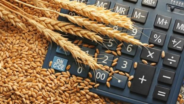 Алтайские аграрии получат шанс на&nbsp;вывоз продукции за&nbsp;пределы региона