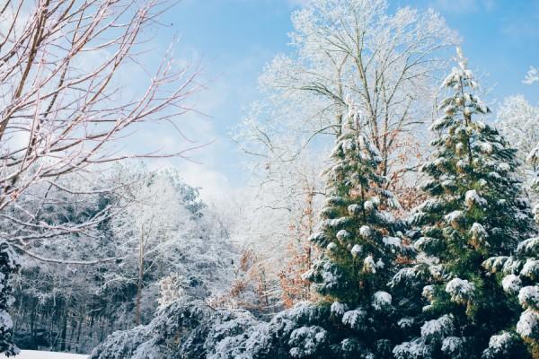 18&nbsp;февраля&nbsp;&mdash; что категорически запрещено делать на&nbsp;Агафью Коровницу