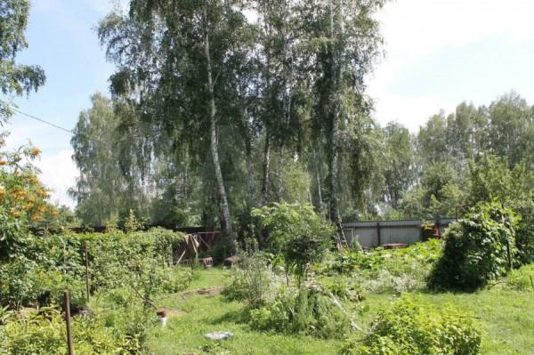 С&nbsp;бассейном или пирсом. Что особенного в&nbsp;самых дорогих дачах Барнаула