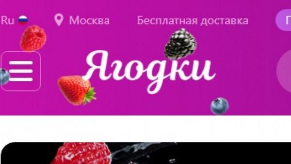 Одичавшие ягоды. Сотрудники Wildberries о&nbsp;том, что остановило Барнаул и&nbsp;Новоалтайск от&nbsp;массовых забастовок