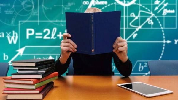 Стало известно, когда в&nbsp;Барнауле начнется прием детей в&nbsp;первые классы