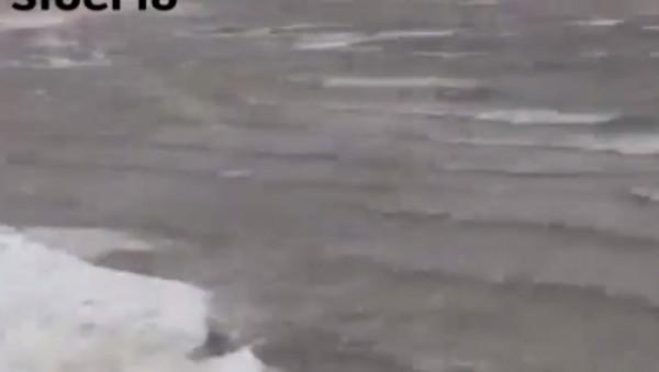 В Алтайском крае талые воды и шквалистый ветер образовали «море» В Алтайском крае талые воды и шквалистый ветер образовали «море»