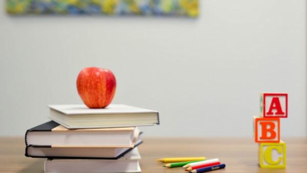 Стало известно, как будет проходить обучение в школе по новым образовательным стандартам Стало известно, как будет проходить обучение в школе по новым образовательным стандартам