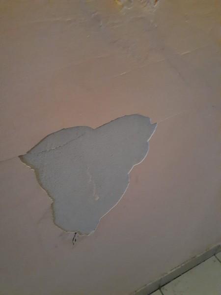 Жители барнаульской многоэтажки пожаловались на&nbsp;отключенные лифты и&nbsp;бомжей в&nbsp;подъезде