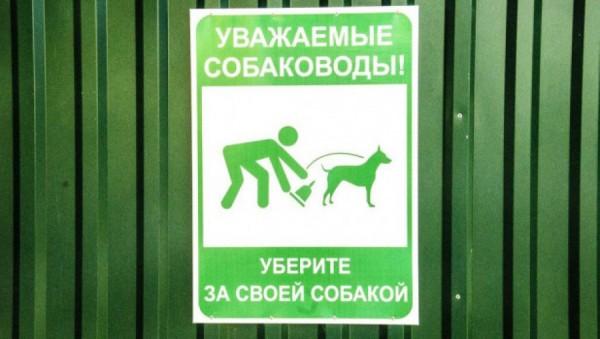 Друг и враг. Алтайский биолог Сергей Снигирев рассказал, почему бездомные собаки опасны, а приюты бесполезны Друг и враг. Алтайский биолог Сергей Снигирев рассказал, почему бездомные собаки опасны, а приюты бесполезны