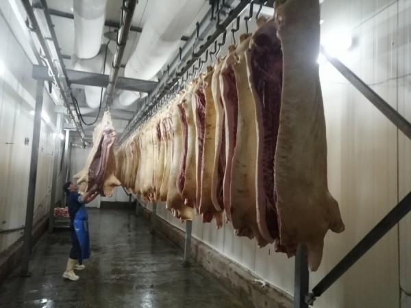 Все «в дело». Как на алтайском производстве разделывают свиней и что при этом получается Все «в дело». Как на алтайском производстве разделывают свиней и что при этом получается