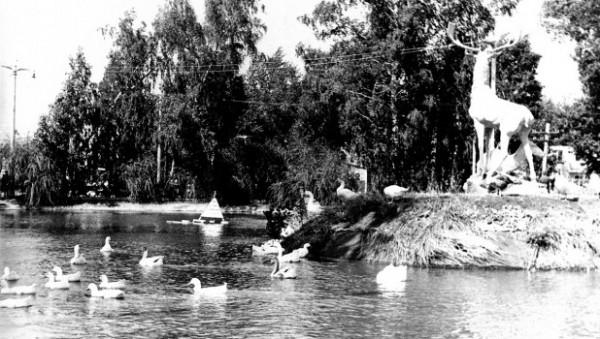 Утки, лодки, спасатели и кафе-мороженое. Какие водоемы были в Барнауле 1990-х, 1980-х и даже 1740-х Утки, лодки, спасатели и кафе-мороженое. Какие водоемы были в Барнауле 1990-х, 1980-х и даже 1740-х