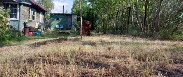 Ну и видок. Какие дачи у рек и озер продают под Барнаулом Ну и видок. Какие дачи у рек и озер продают под Барнаулом