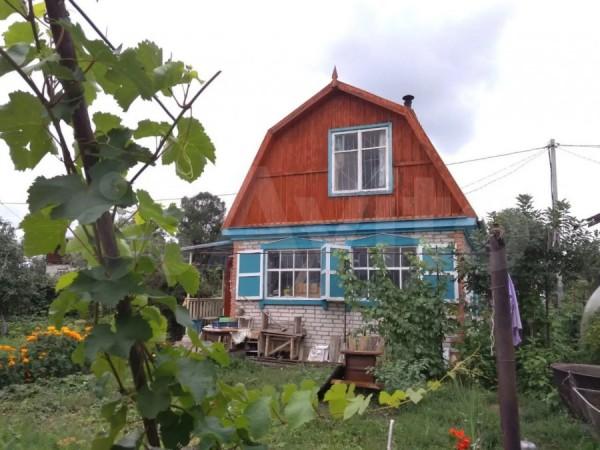 Ну и видок. Какие дачи у рек и озер продают под Барнаулом Ну и видок. Какие дачи у рек и озер продают под Барнаулом