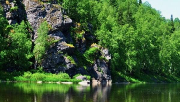 Боброгэс и Кутеляпка. Что мешает развитию сети экотроп в Алтайском крае Боброгэс и Кутеляпка. Что мешает развитию сети экотроп в Алтайском крае