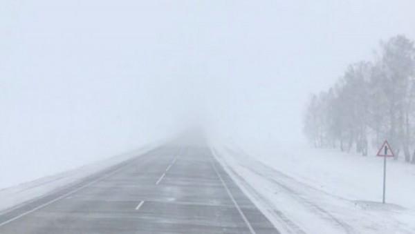 Доставайте пуховики. В Гидрометцентре рассказали, сколько продлится снежная погода в Барнауле Доставайте пуховики. В Гидрометцентре рассказали, сколько продлится снежная погода в Барнауле