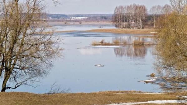 Предел нормы. Почему реки вскрылись раньше срока, и к чему готовятся спасатели в Алтайском крае Предел нормы. Почему реки вскрылись раньше срока, и к чему готовятся спасатели в Алтайском крае