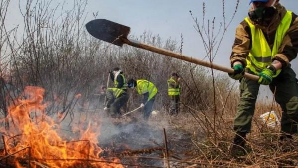 Во мгле едкого дыма. О непрекращающихся пожарах в Тюменской области рассказали МЧС Во мгле едкого дыма. О непрекращающихся пожарах в Тюменской области рассказали МЧС