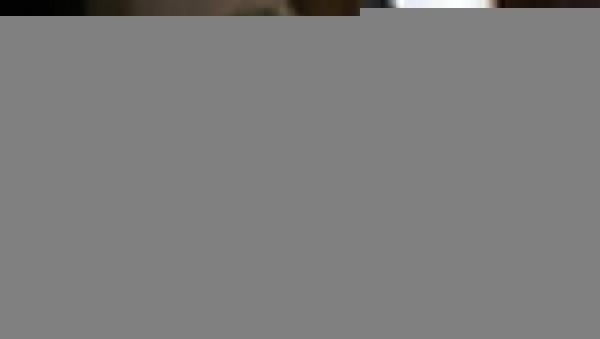 Президент Сирии демонстративно отказался слушать речь Зеленского на заседании Лиги арабских государств