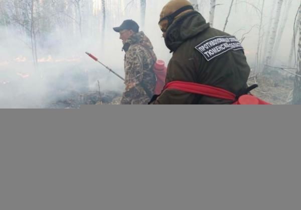 Во мгле едкого дыма. О непрекращающихся пожарах в Тюменской области рассказали МЧС Во мгле едкого дыма. О непрекращающихся пожарах в Тюменской области рассказали МЧС