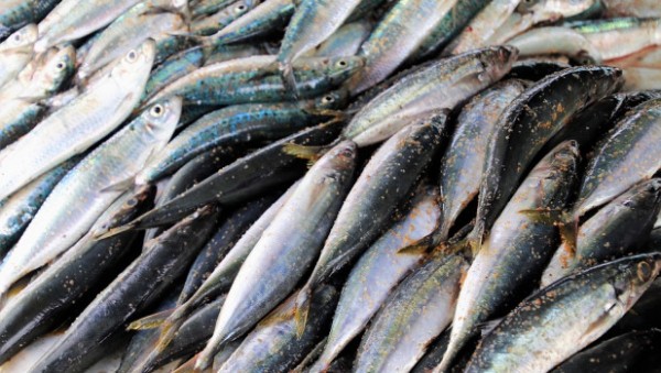О богатых &laquo;полезными&raquo; жирами продуктах рассказал специалист