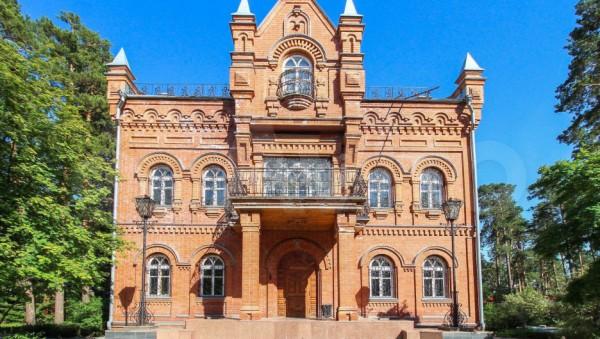 Огромный замок с королевскими покоями продают за 70 млн рублей в Барнауле Огромный замок с королевскими покоями продают за 70 млн рублей в Барнауле