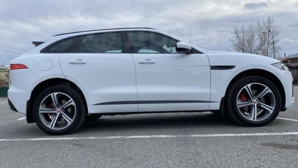 Что за белоснежный Jaguar с люком на крыше продают за 4,8 млн рублей в Барнауле Что за белоснежный Jaguar с люком на крыше продают за 4,8 млн рублей в Барнауле