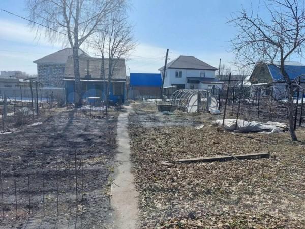 Дорога просто огурчик. В Барнауле продают дачи, до которых можно доехать на трамвае Дорога просто огурчик. В Барнауле продают дачи, до которых можно доехать на трамвае
