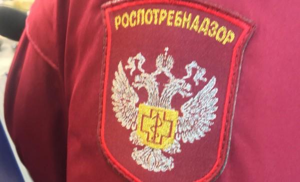 Пик активности. Сибирские клещи распространяют смертельную заразу
