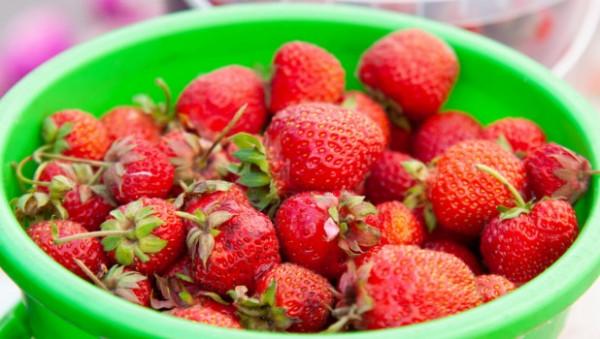 О неожиданном свойстве клубники рассказали врачи-телеведущие