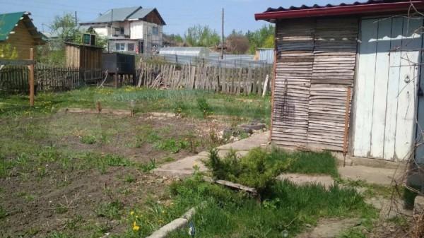 Дорога просто огурчик. В Барнауле продают дачи, до которых можно доехать на трамвае Дорога просто огурчик. В Барнауле продают дачи, до которых можно доехать на трамвае