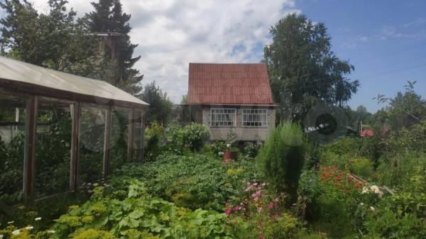 Дорога просто огурчик. В Барнауле продают дачи, до которых можно доехать на трамвае Дорога просто огурчик. В Барнауле продают дачи, до которых можно доехать на трамвае