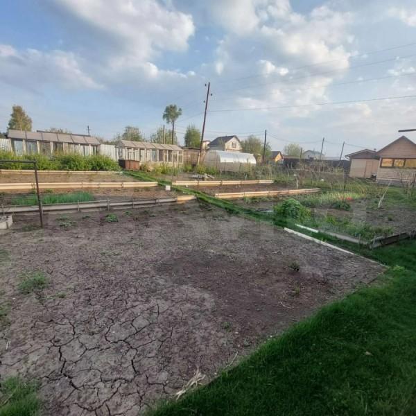 Дорога просто огурчик. В Барнауле продают дачи, до которых можно доехать на трамвае Дорога просто огурчик. В Барнауле продают дачи, до которых можно доехать на трамвае