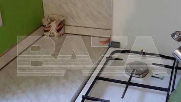 В москвской квартире жильцы обнаружили желтую змею