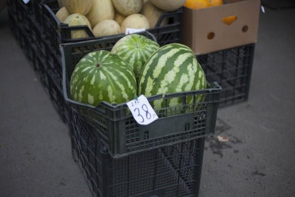 &laquo;Рубцовск со вкусом&raquo; и гиганты в полосочку. Где в Барнауле продают спелые и сочные арбузы и по каким ценам