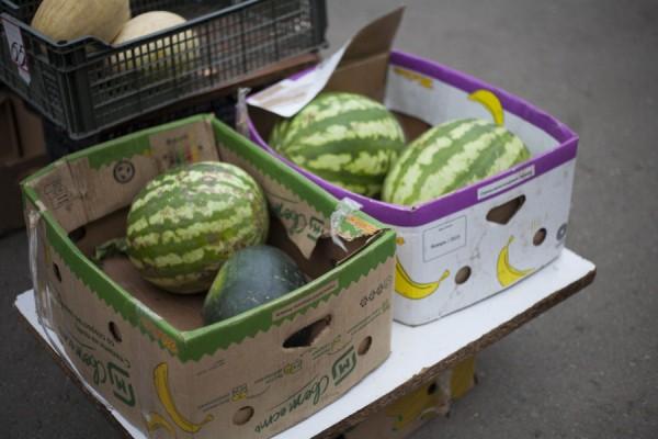 &laquo;Рубцовск со вкусом&raquo; и гиганты в полосочку. Где в Барнауле продают спелые и сочные арбузы и по каким ценам