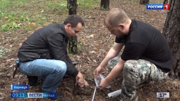 Алтайские ученые выявили пожароопасные участки сосновых боров Алтайские ученые выявили пожароопасные участки сосновых боров