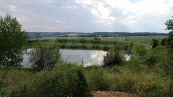 Напрудили. Дачи со сказочными микро-водоемами продают в Барнауле