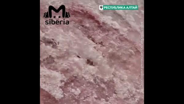 Алтайские ледники внезапно стали кроваво-красными. Причины