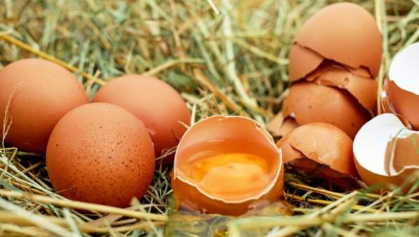 Неожиданно: стало известно, какой продукт продлевает жизнь Неожиданно: стало известно, какой продукт продлевает жизнь